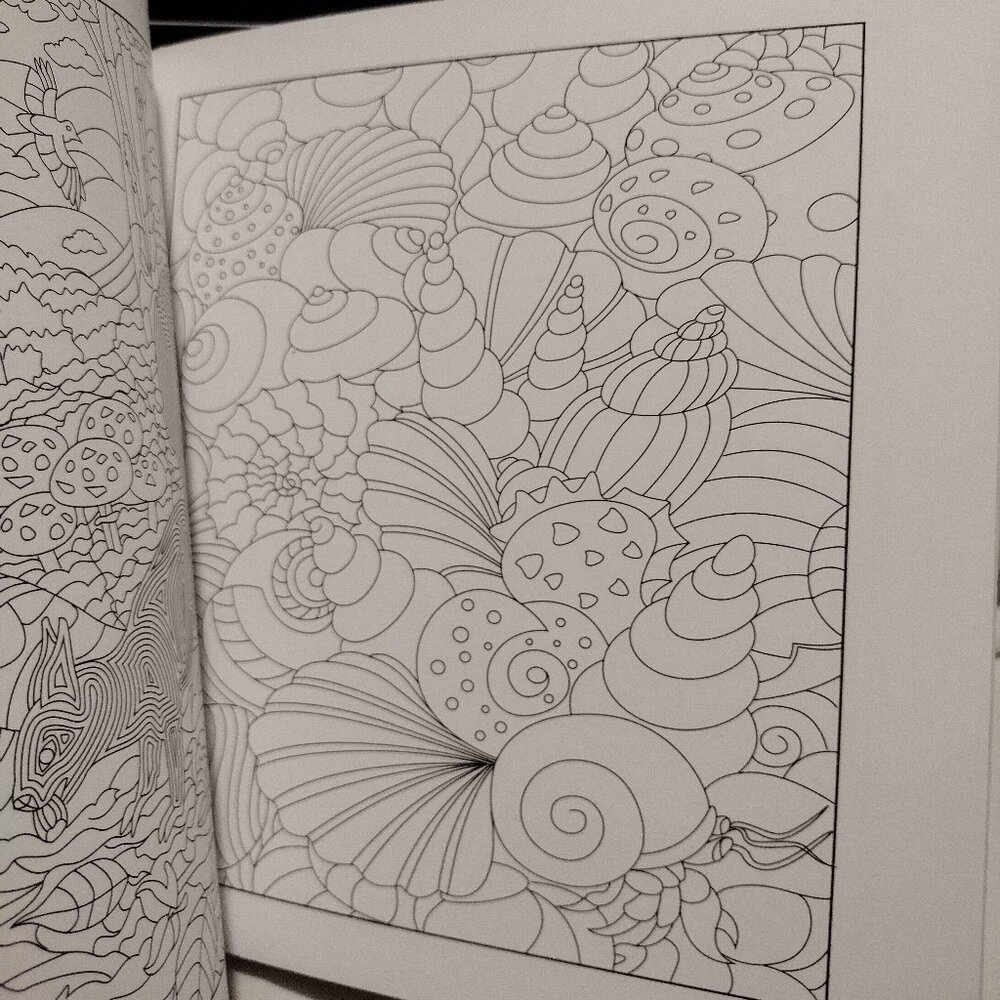 3 Adult Coloring Book Set - Picture 6 of 16